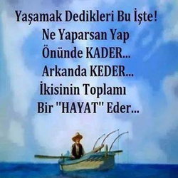 Veli