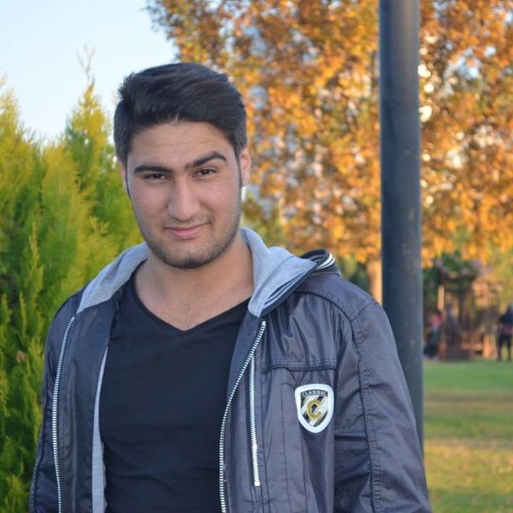 Doğan
