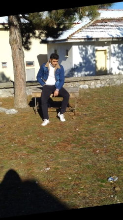 Bulut