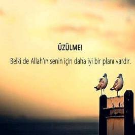 Harun