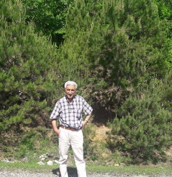 Dursun