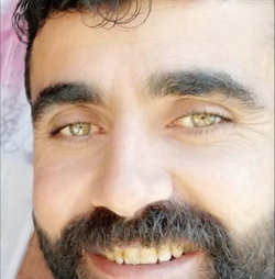Sedat