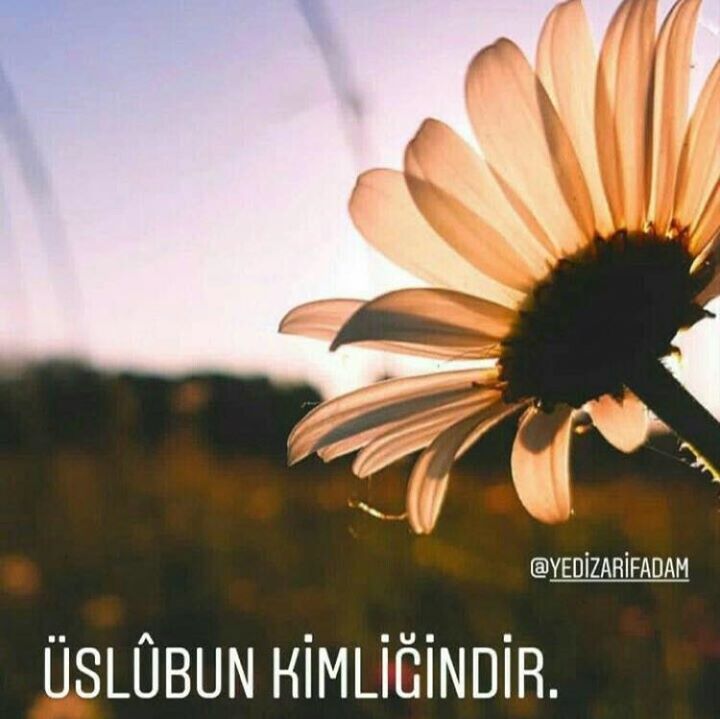Nuray
