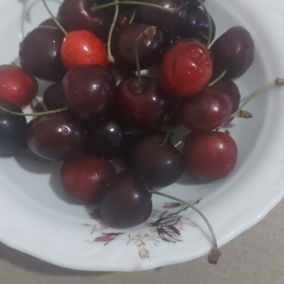 Poyraz
