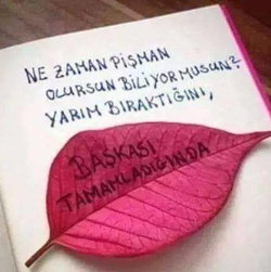 İnci
