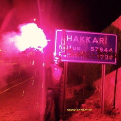 Celik