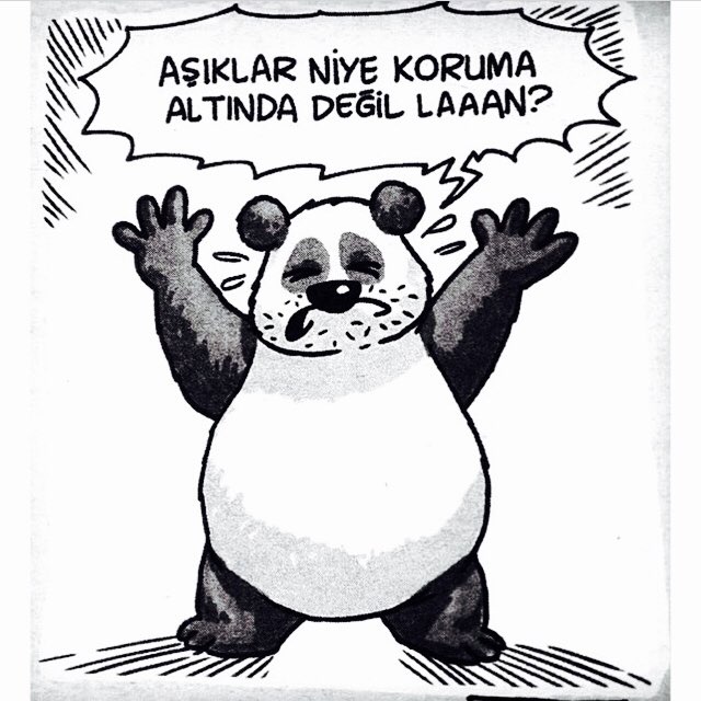 'CyLan