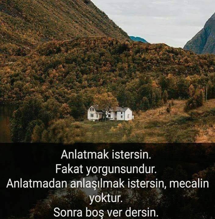 Öncel