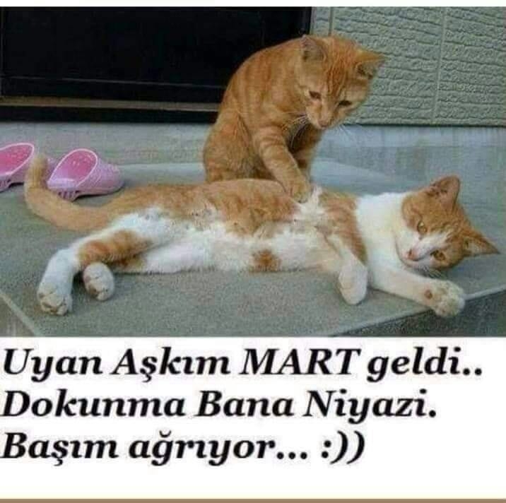 Ertan