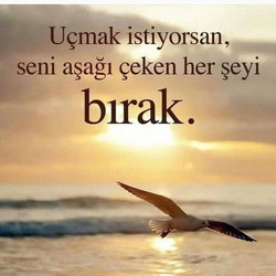 Yusuf