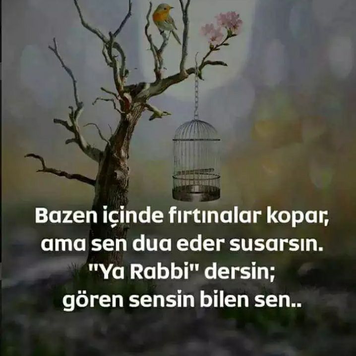 Gönül