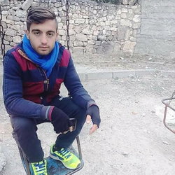 Zeynel
