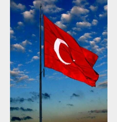 Didem