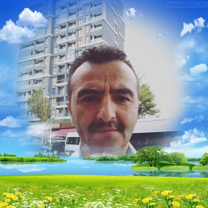 Veli