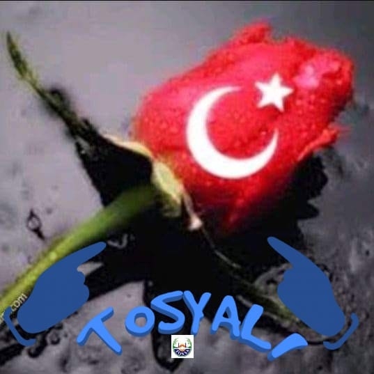 Satiye