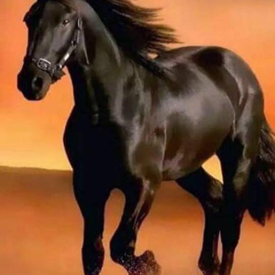 Edris