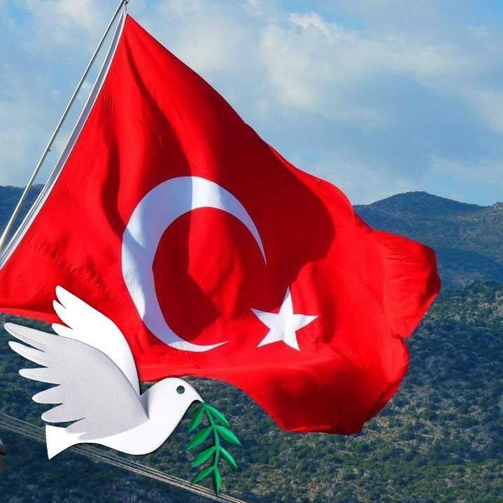 Gökhan