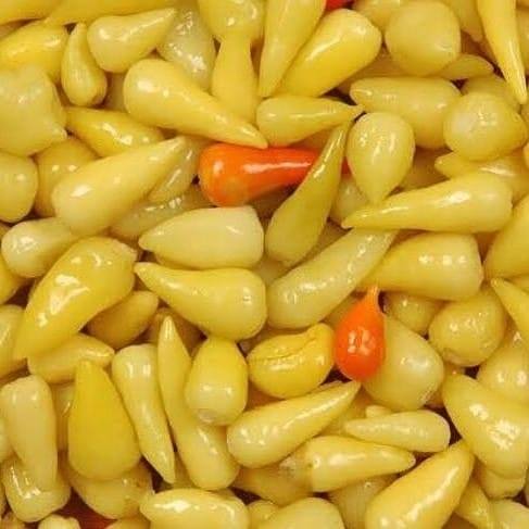 Salo