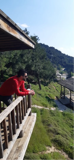 Halit
