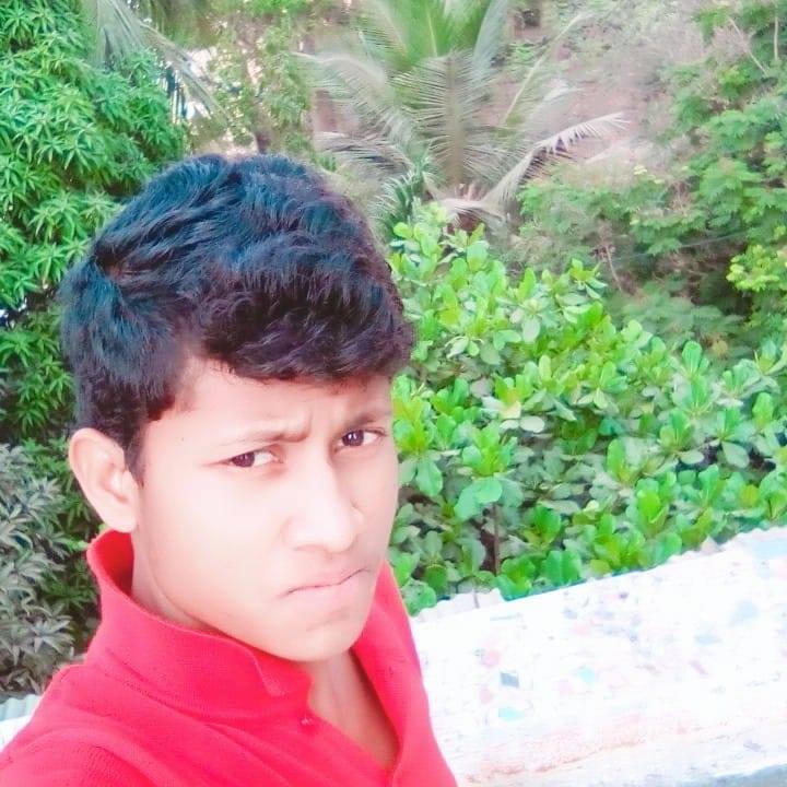 Anil