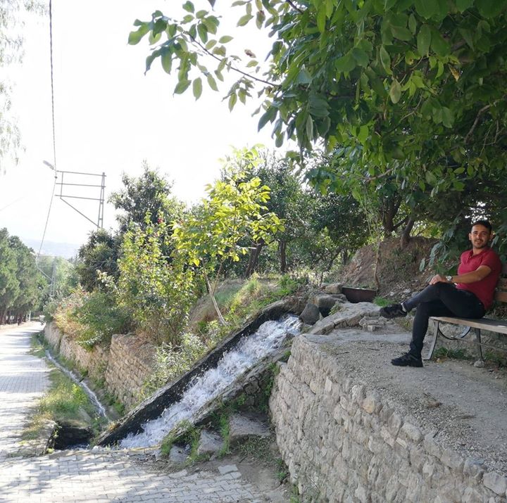 Ayhan