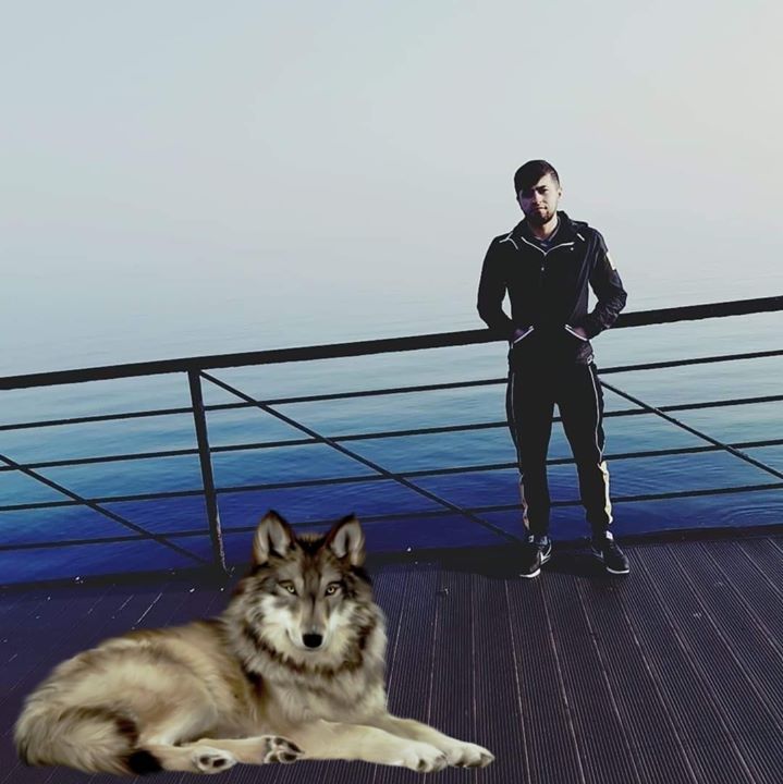 Hafız