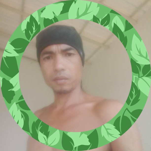 Noel