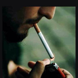 Umut