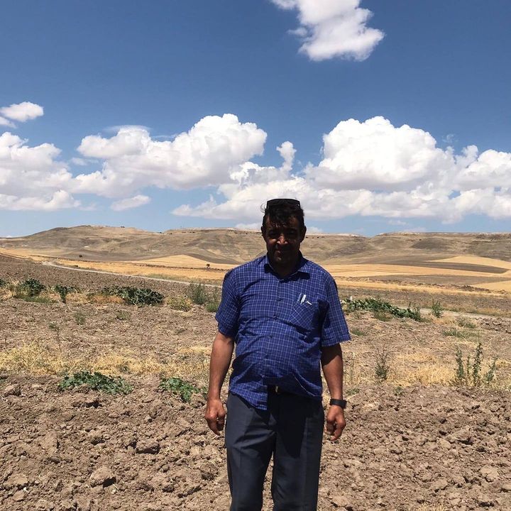 Şahin