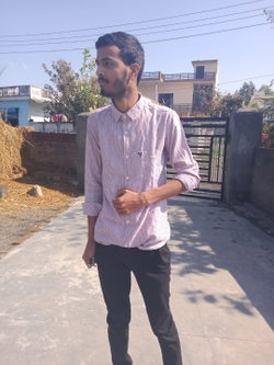 Anil