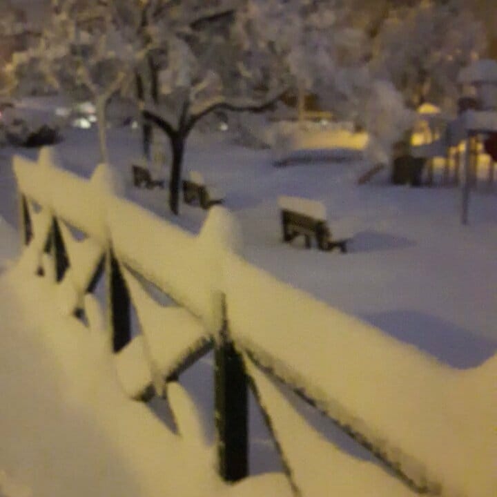Kardelen