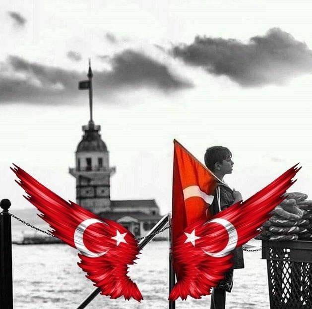 Halil