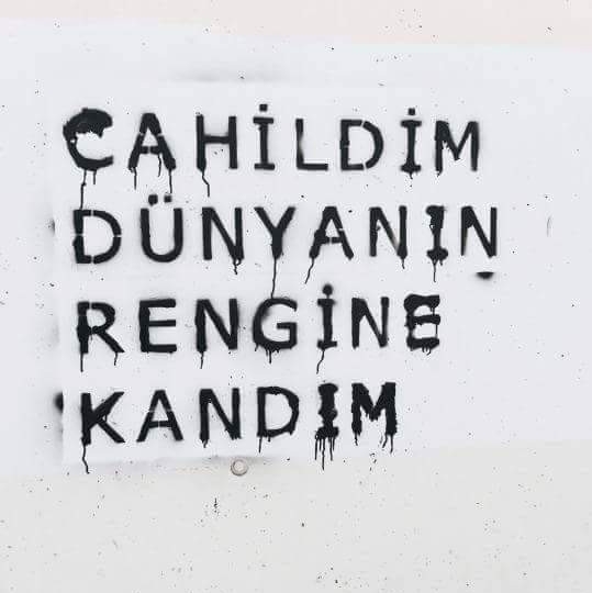 Şahin