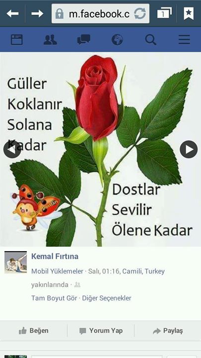 Arda