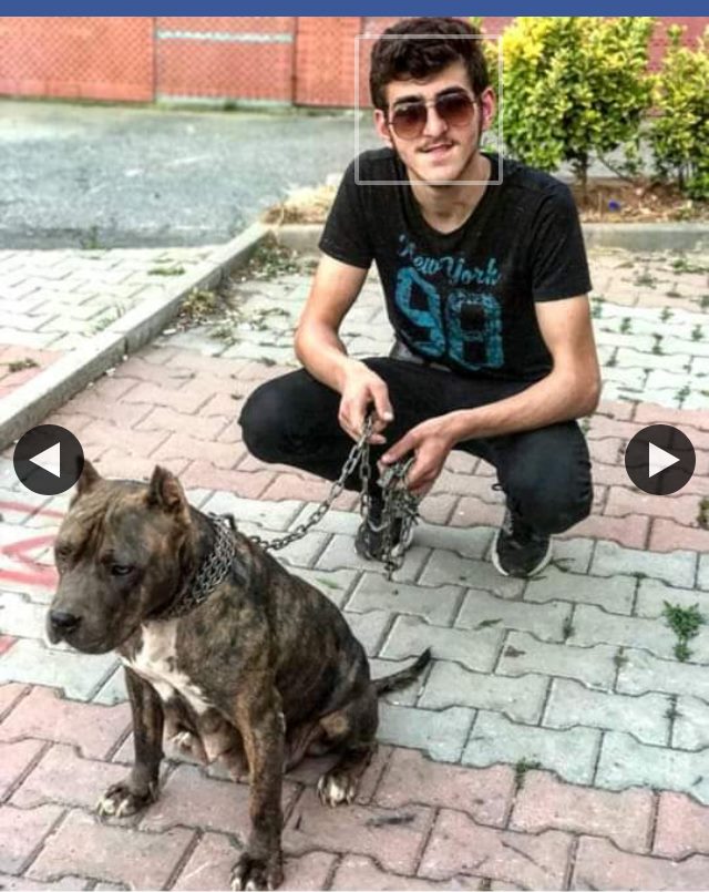 Yunus