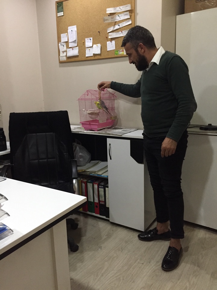 Mehmet