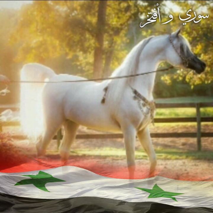 Hasan