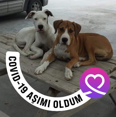 Fatih