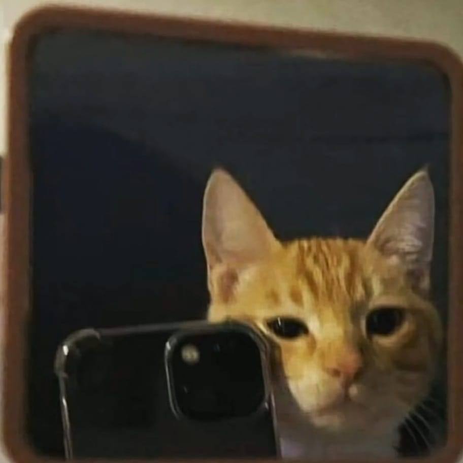 Camilo