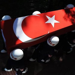 Şevket
