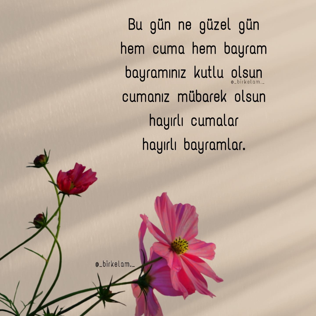 Zanyar