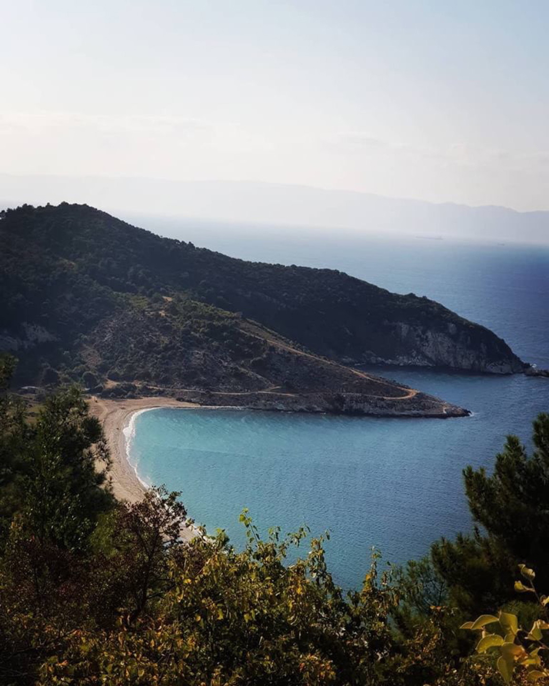İlknur