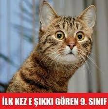 Bahar