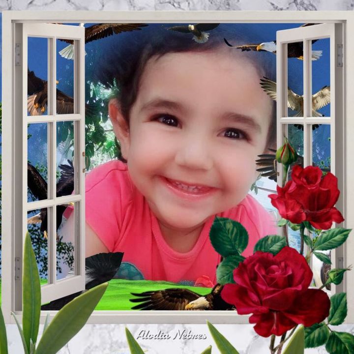 Hazal