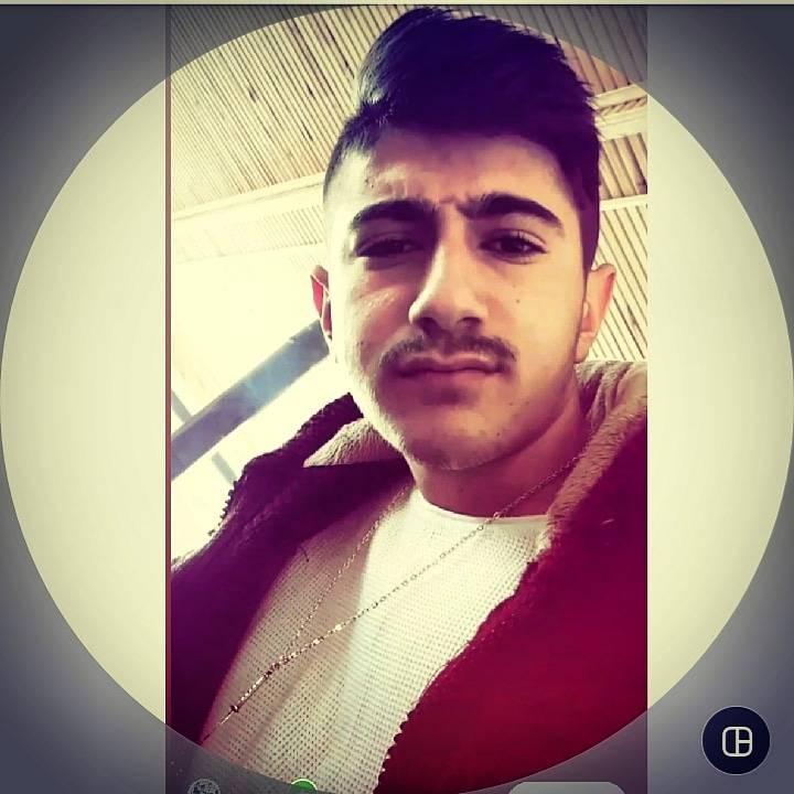 Doğan