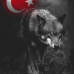 Samet