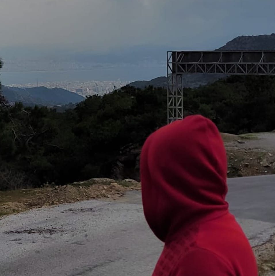 Doğan