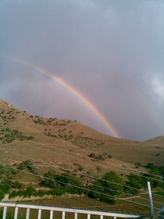 Şemsettin