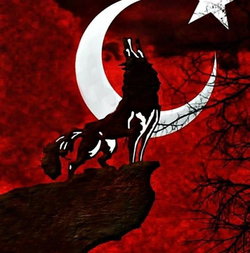 Şaban