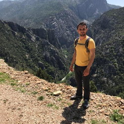 Tayfun